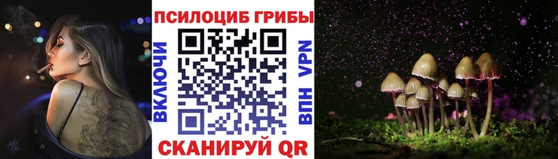 продажа наркотиков  Первоуральск  Галлюциногенные грибы Magic Shrooms 