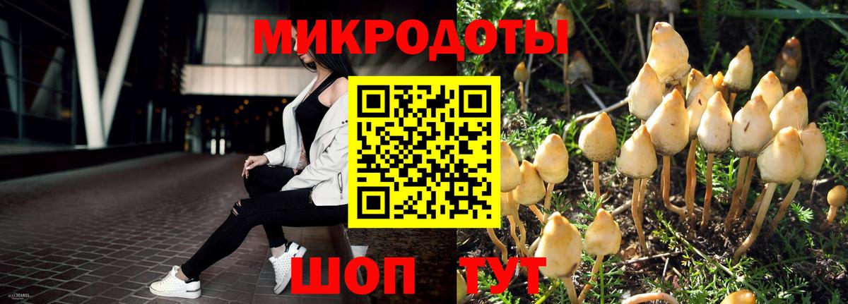Первоуральск  Галлюциногенные грибы прущие грибы  Вход с VPN 
