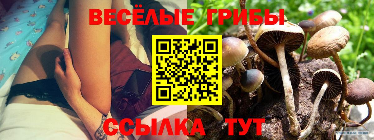 Псилоцибиновые грибы мухоморы Первоуральск